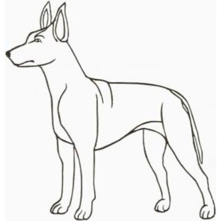 Dog-Dcg783