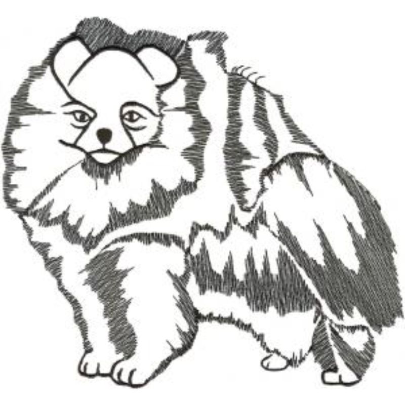 dcg791.jpg Dog-Dcg791 - Image 1