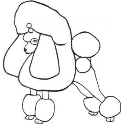 Dog-Dcg793