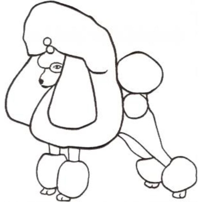 Dog-Dcg793 - Image 1