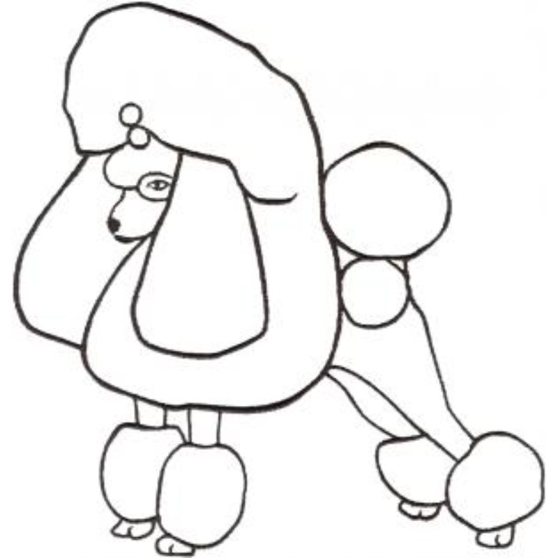 dcg793.jpg Dog-Dcg793 - Image 1