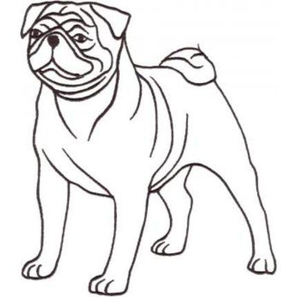 Dog-Dcg795