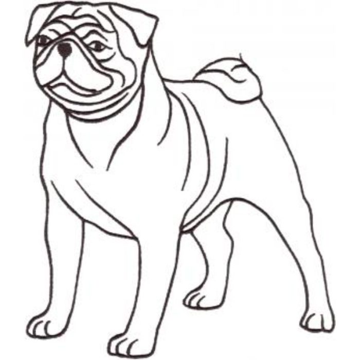 Dog-Dcg795 - Image 1