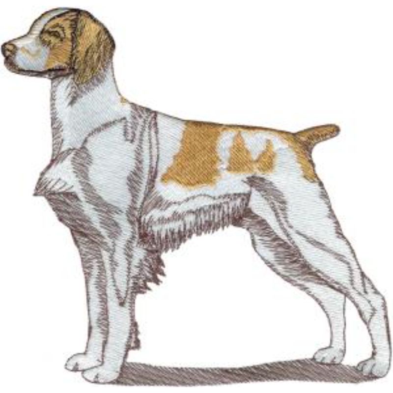 dcg807.jpg Dog-Dcg807 - Image 1