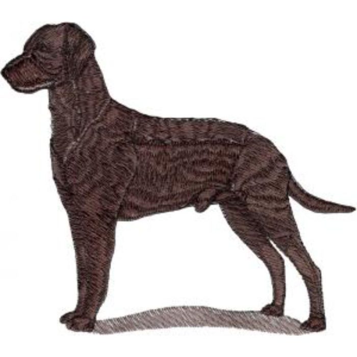 Dog-Dcg823 - Image 1