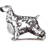 Dog-Dcg829