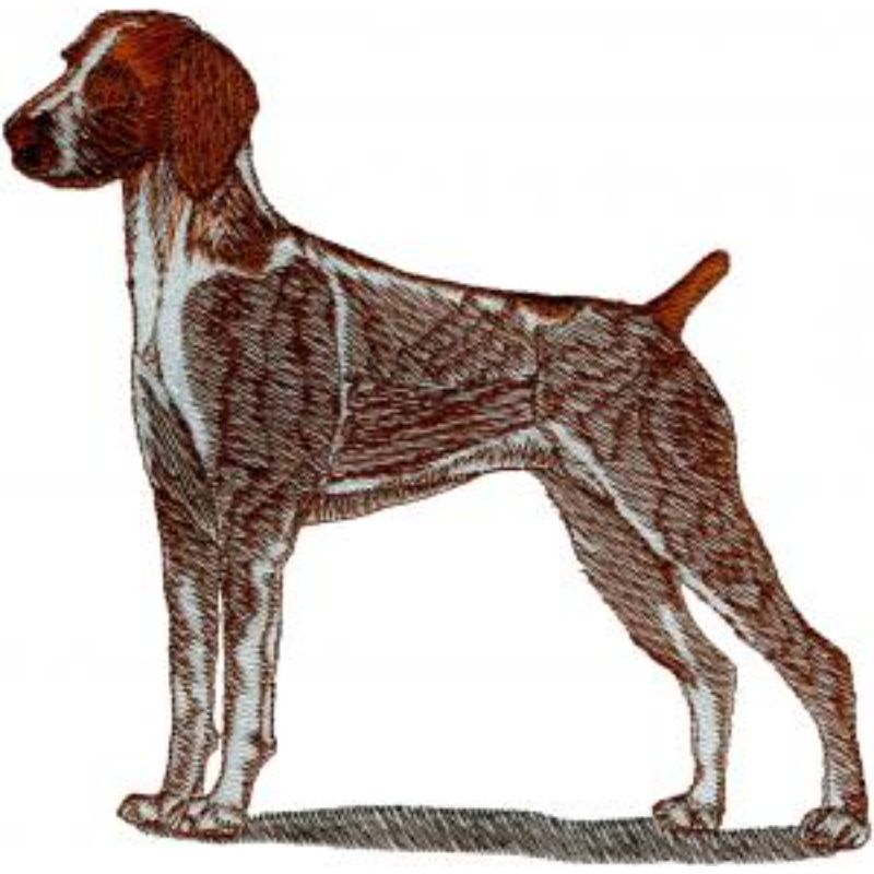 dcg839.jpg Dog-Dcg839 - Image 1