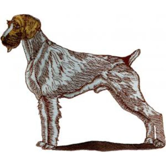 Dog-Dcg843 - Image 1