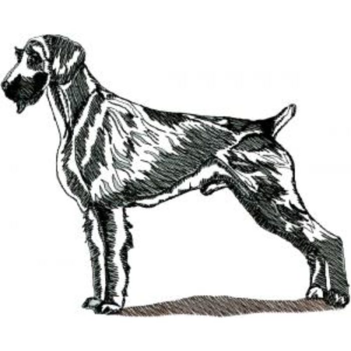 Dog-Dcg845 - Image 1