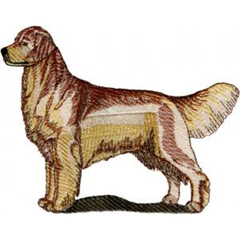 dcg847.jpg Dog-Dcg847 - Image 1