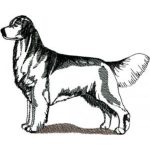 Dog-Dcg849
