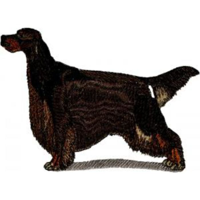 Dog-Dcg851 - Image 1