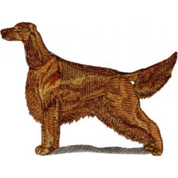 Dog-Dcg855 - Image 1