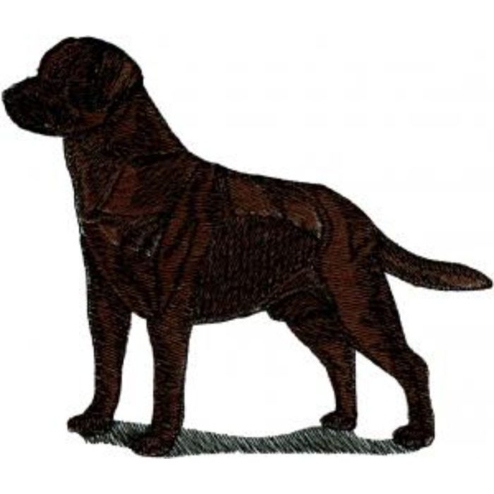 Dog-Dcg863 - Image 1