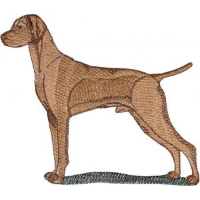 Dog-Dcg879 - Image 1