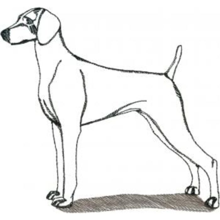 Dog-Dcg885 - Image 1