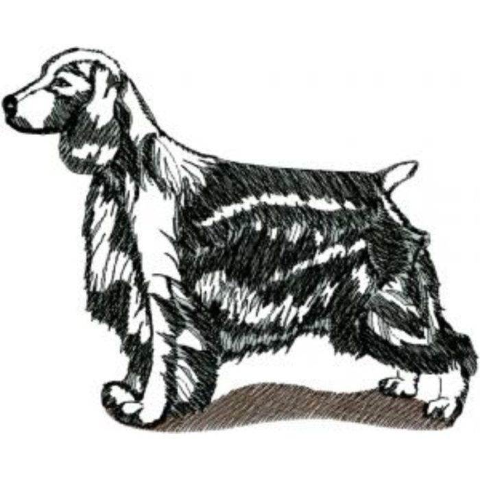 Dog-Dcg889 - Image 1