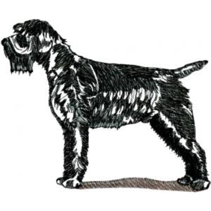 Dog-Dcg893 - Image 1