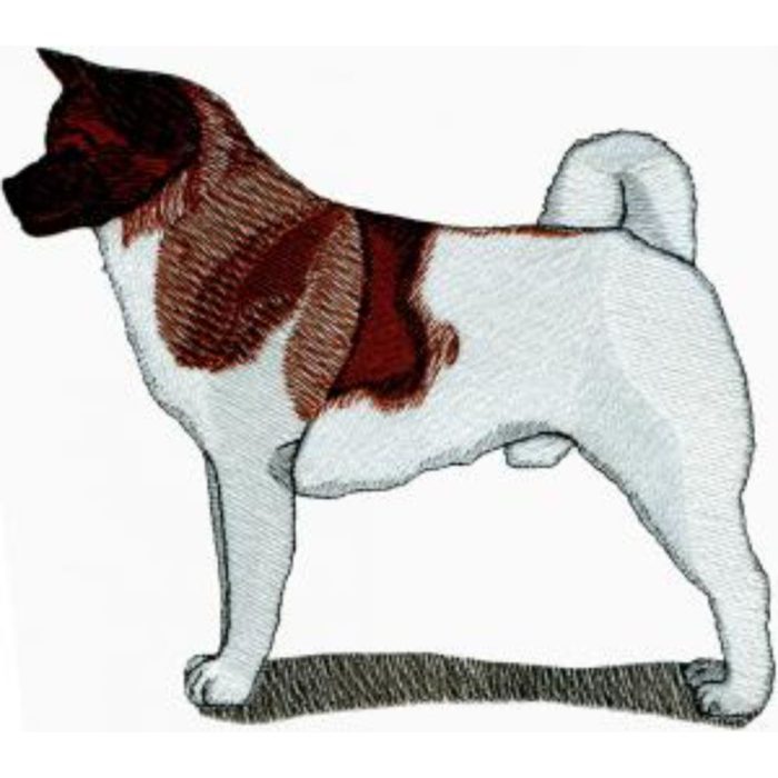 Dog-Dcg895 - Image 1