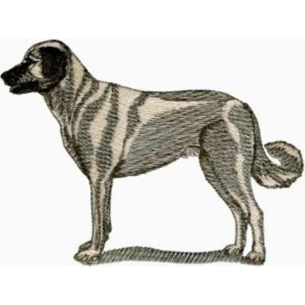 Dog-Dcg903