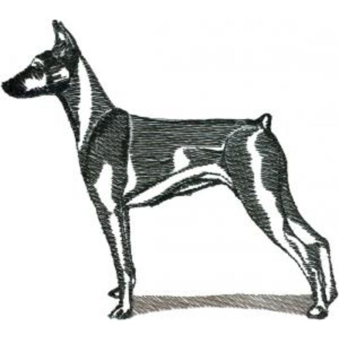 Dog-Dcg925 - Image 1