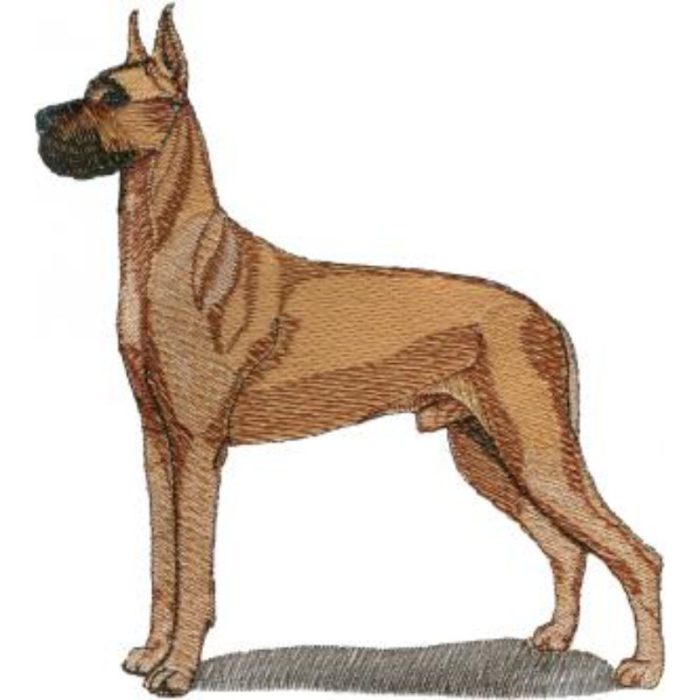 Dog-Dcg931 - Image 1