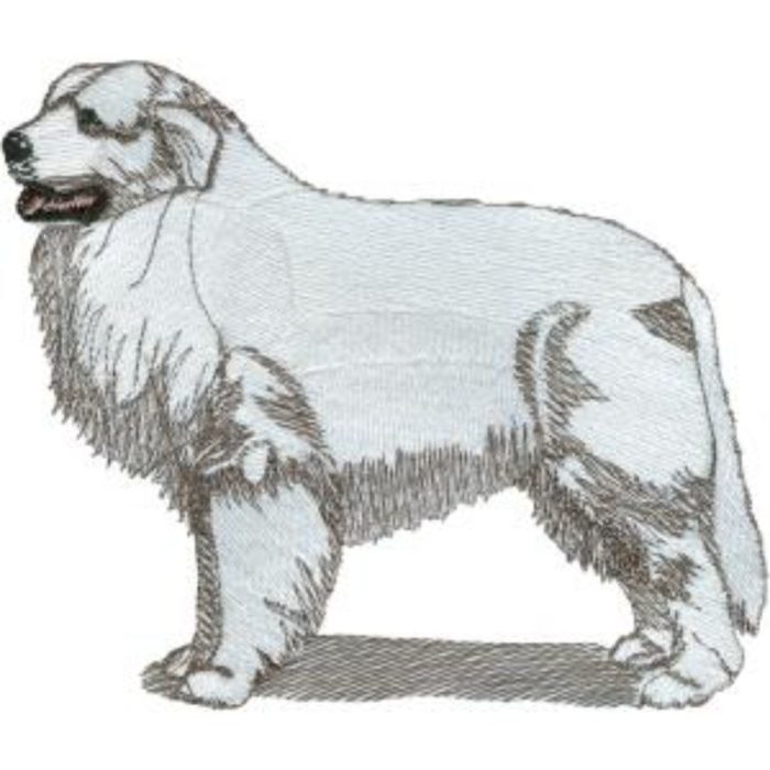 Dog-Dcg935 - Image 1