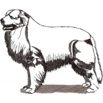 Dog-Dcg937