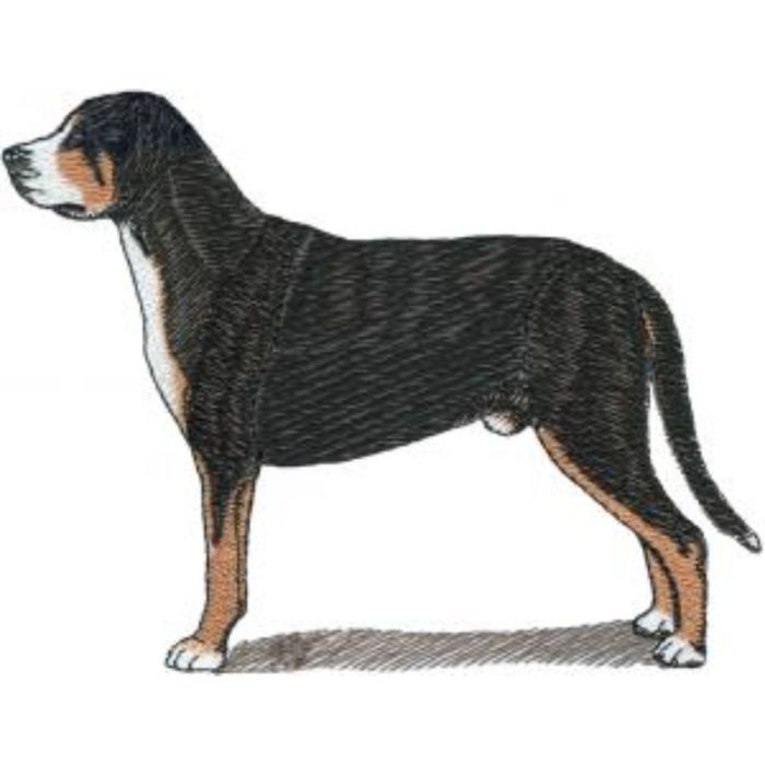 Dog-Dcg939 - Image 1