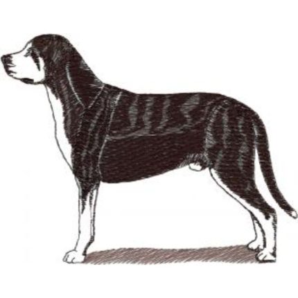 Dog-Dcg941