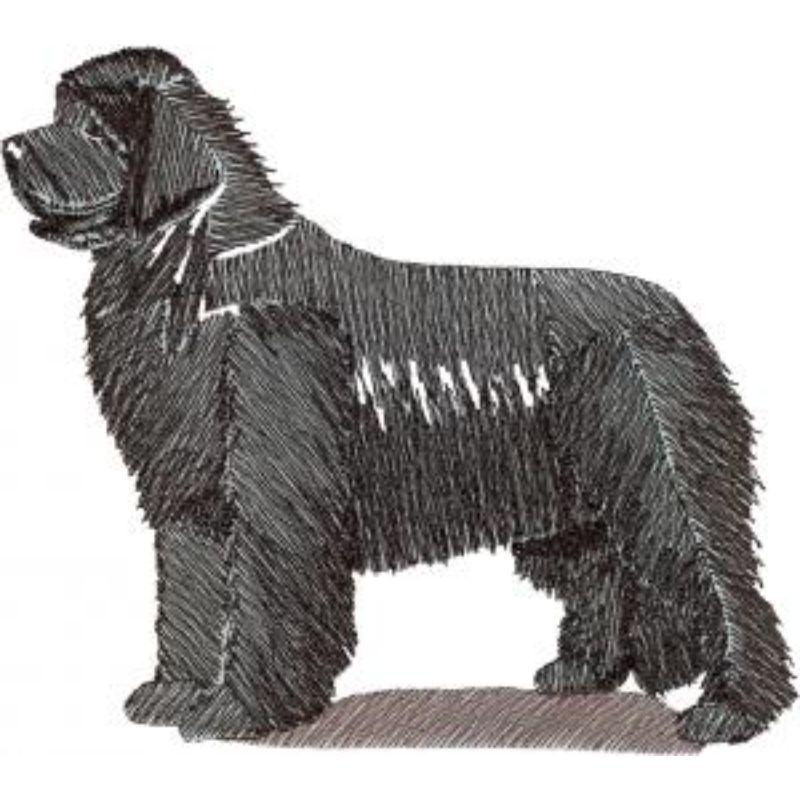 dcg957.jpg Dog-Dcg957 - Image 1