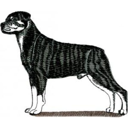 Dog-Dcg965