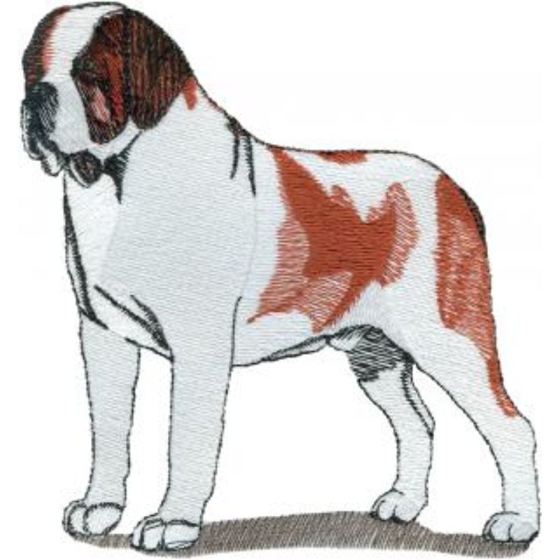 dcg967.jpg Dog-Dcg967 - Image 1