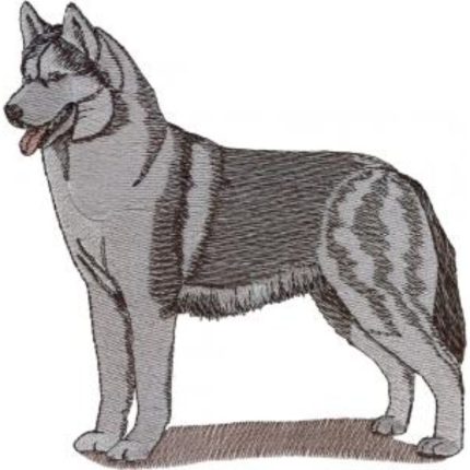 Dog-Dcg975