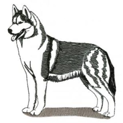 Dog-Dcg977