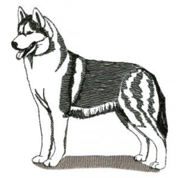 Dog-Dcg977 - Image 1