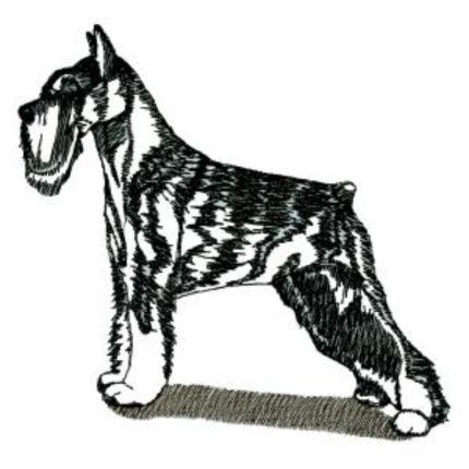 Dog-Dcg981