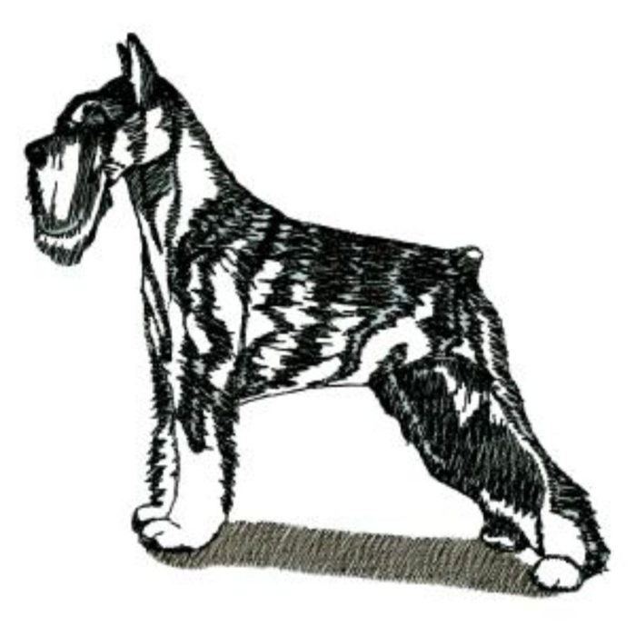 Dog-Dcg981 - Image 1