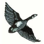 Great Outdoors-Fun85