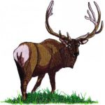 Great Outdoors-Gbg054