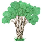 Great Outdoors-Gbg150