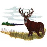 Great Outdoors-Gbg232