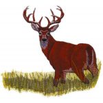 Great Outdoors-Gbg238