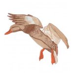 Great Outdoors-Gbg249