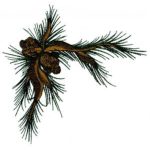 Great Outdoors-Gbg281