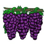 Grapes
