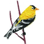 Great Outdoors-Gth902