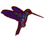Hummingbird
