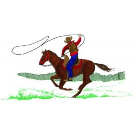 Cowboys-Hwbg79