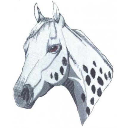 Horse-Hwbg99